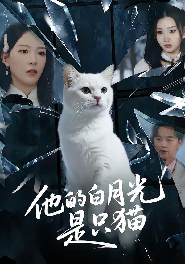 暴躁老妈高清免费观看电视剧大全老
