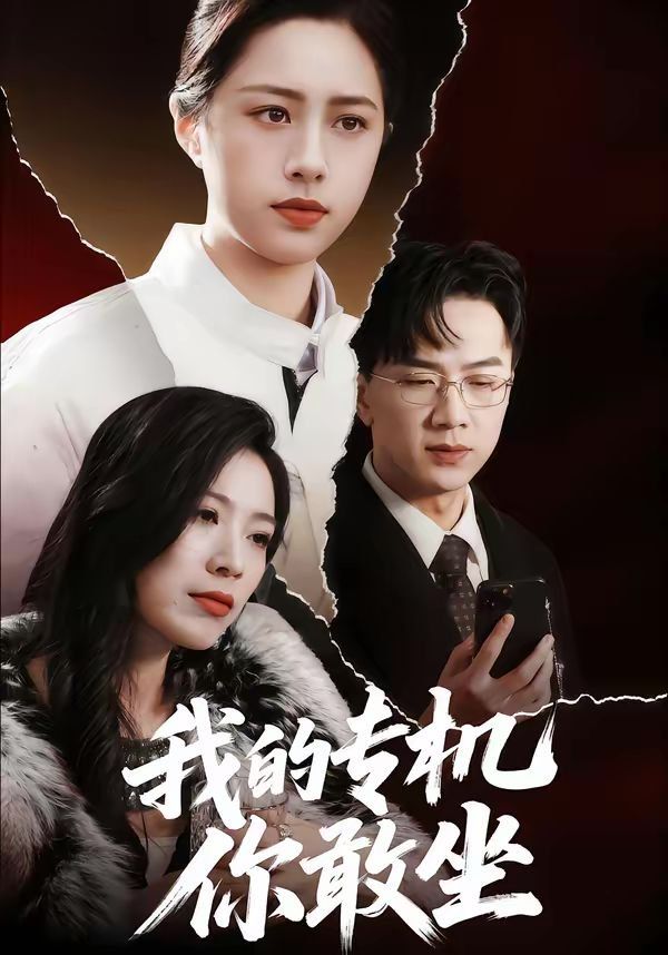 我的专机你敢坐