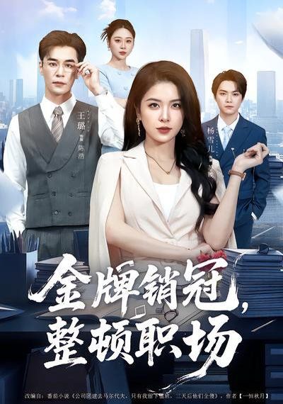 金牌销冠，整顿职场