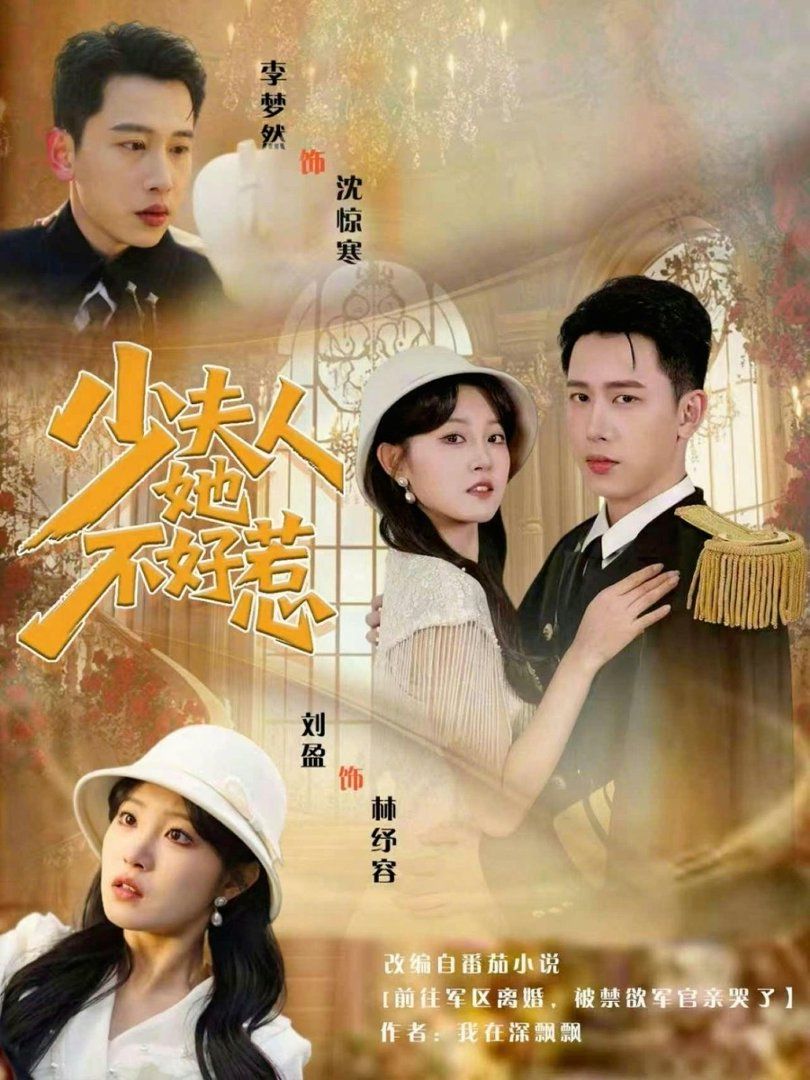 少夫人她不好惹