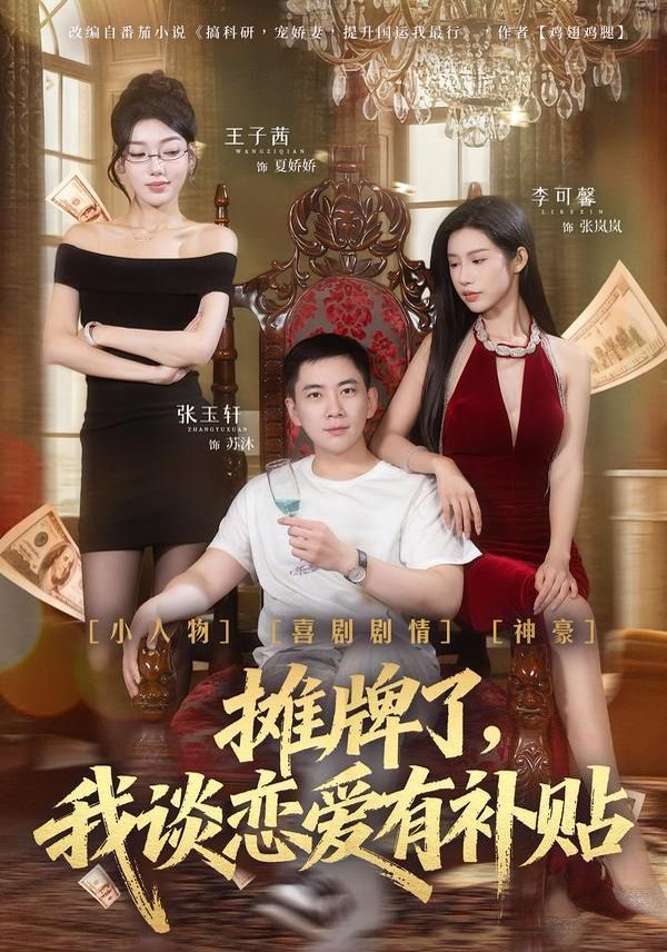 摊牌了，我谈恋爱有补贴