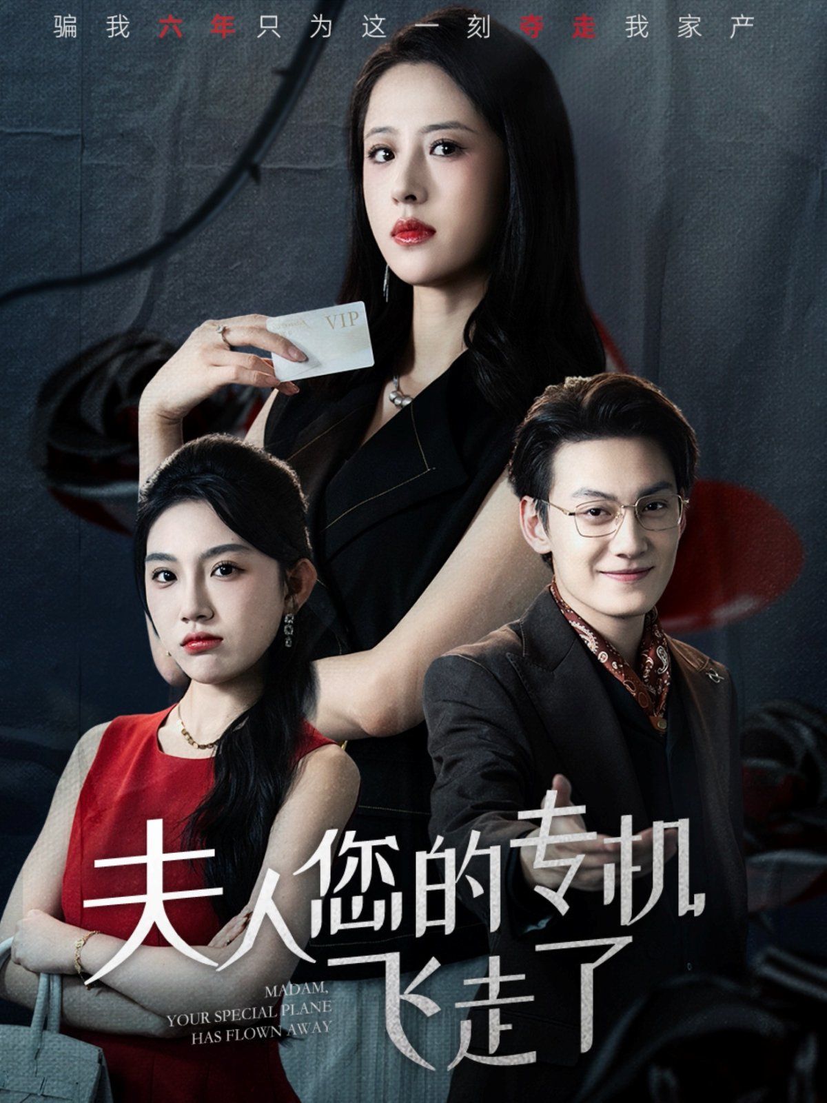 夫人您的专机飞走了