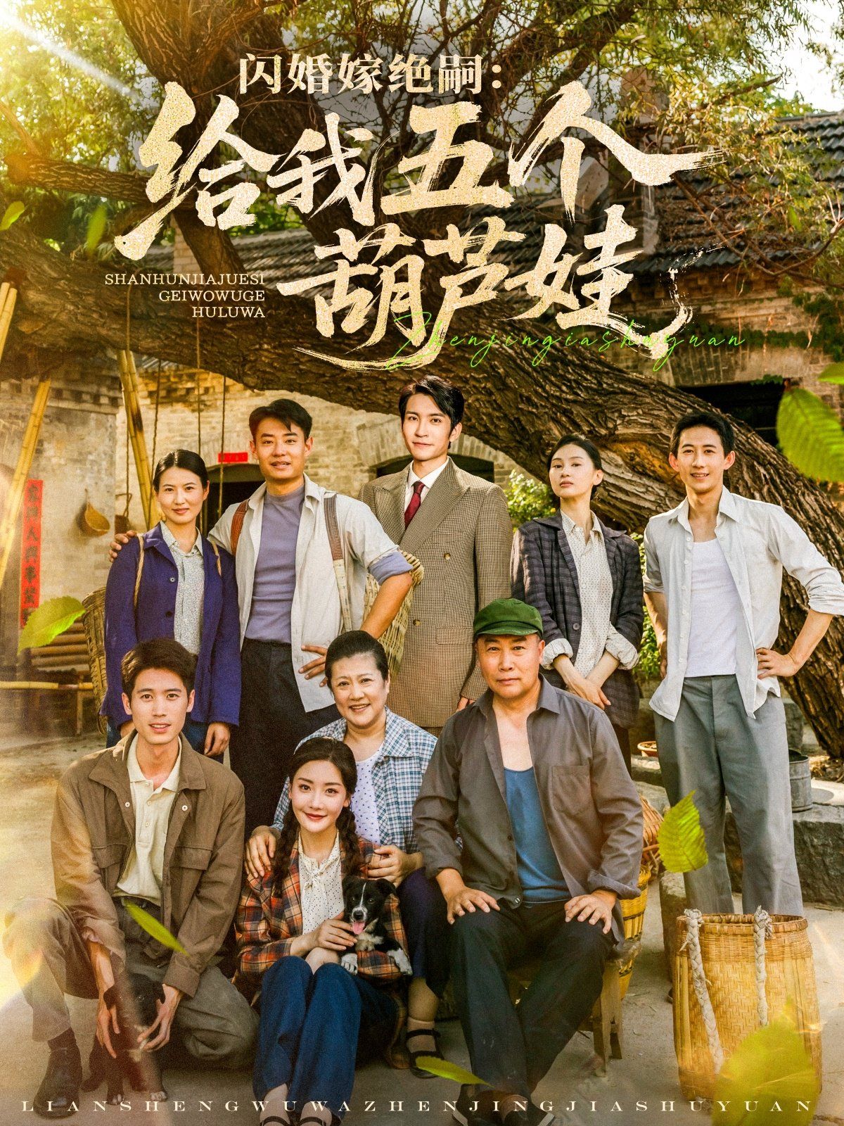 闪婚嫁绝嗣给我五个葫芦娃