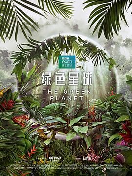男的捅女的app